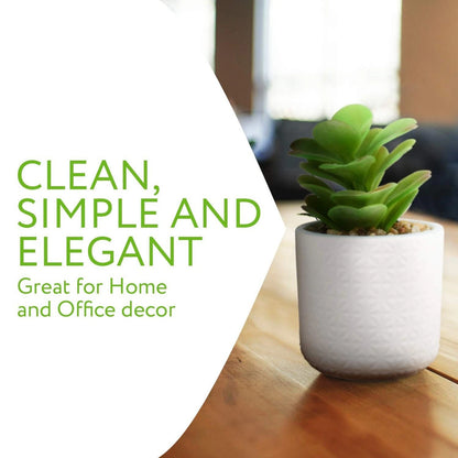 Artificial Succulent Plants in Ceramic Pots with Bamboo Tray
