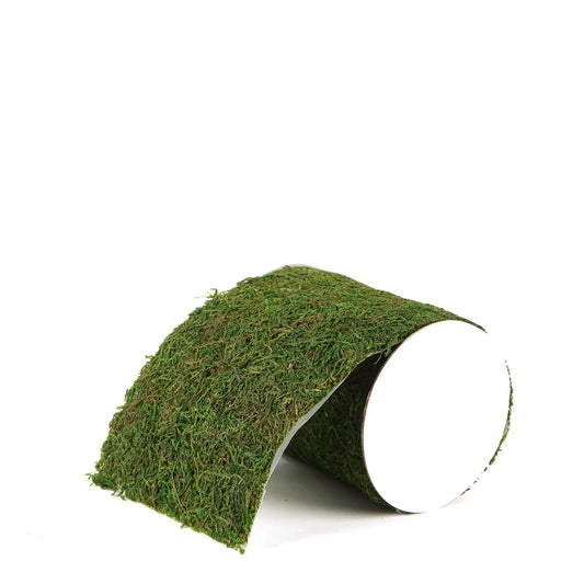 Home Collection 5"x48" Natural Green Moss Ribbon Roll