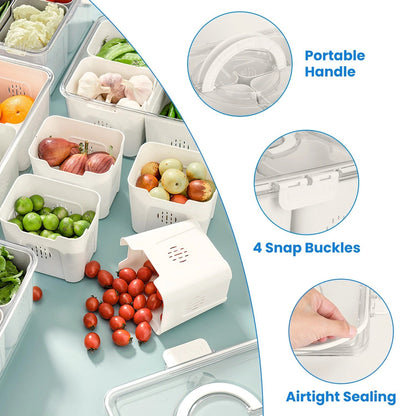 Home Collection  2Pcs 4-Grid Airtight Fruit Storage Containers with Lids
