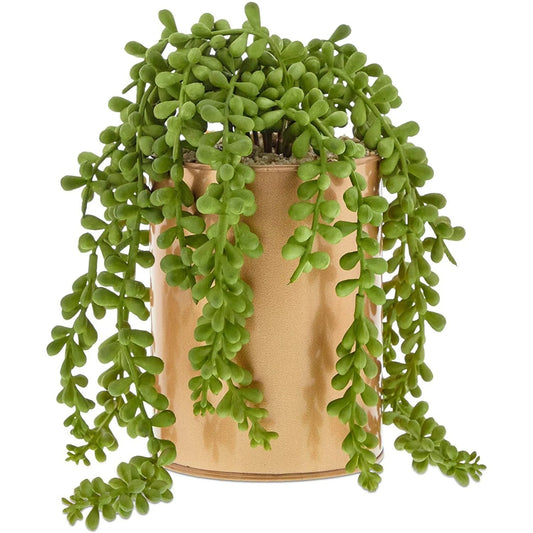 Potted Artificial Succulent – Modern Home Decor