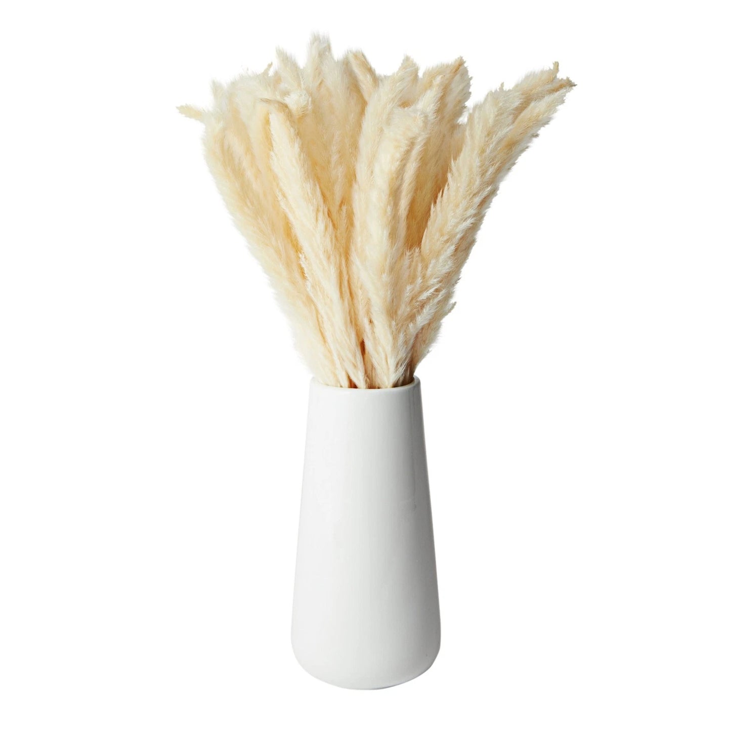 40-Piece Natural Dried Pampas Grass with White Ceramic Vase