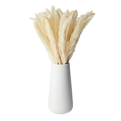40-Piece Natural Dried Pampas Grass with White Ceramic Vase