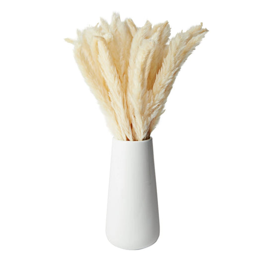 40-Piece Natural Dried Pampas Grass with White Ceramic Vase