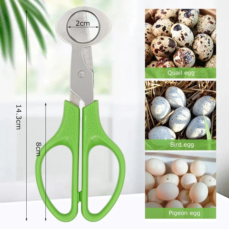 Quail Egg Scissors – Stainless Steel Eggshell Cutter Tool