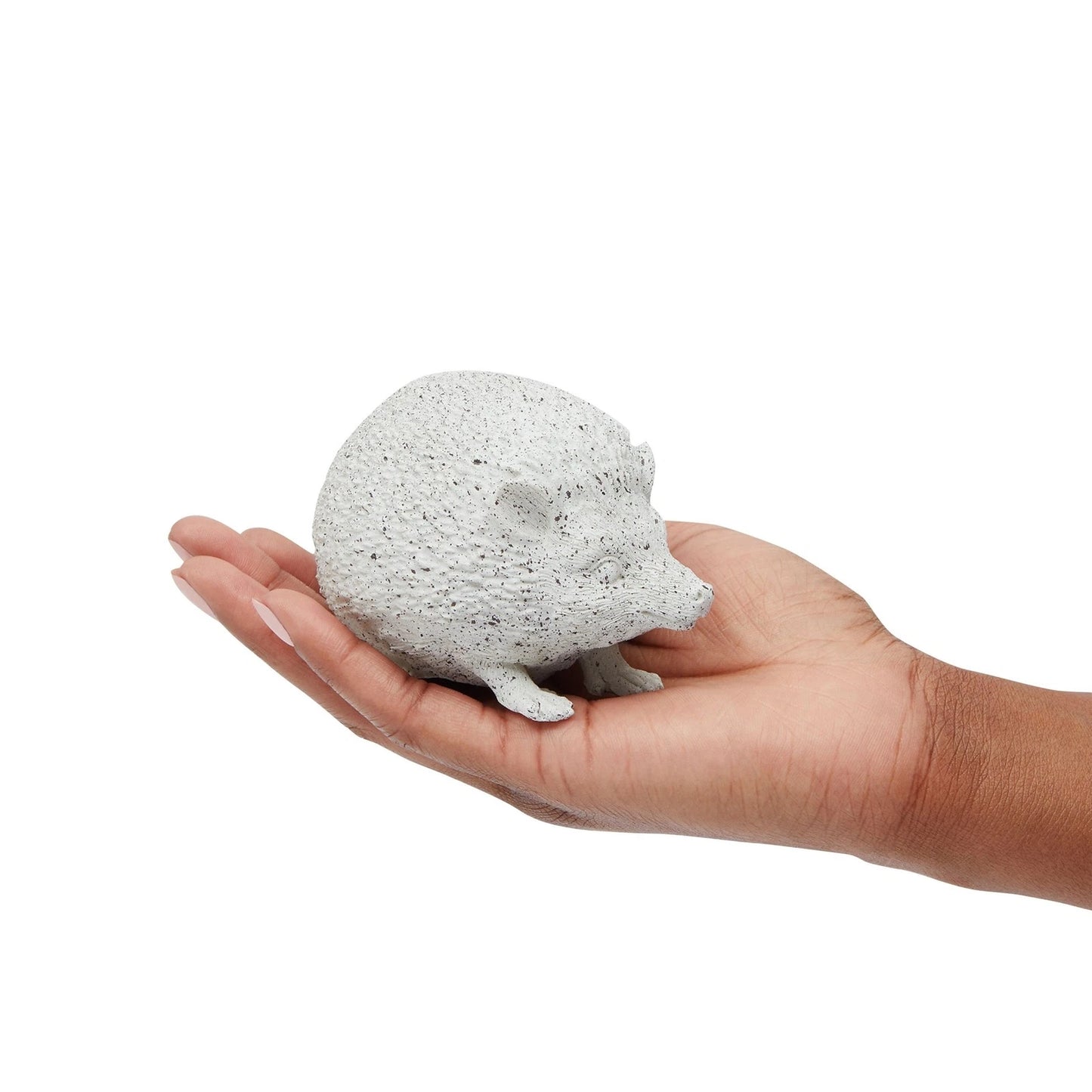 16-Piece Hedgehog Rock Painting Kit for Kids