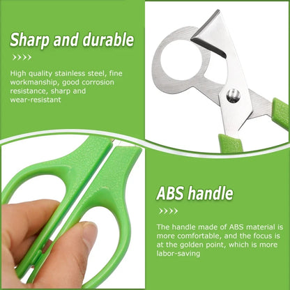Quail Egg Scissors – Stainless Steel Eggshell Cutter Tool
