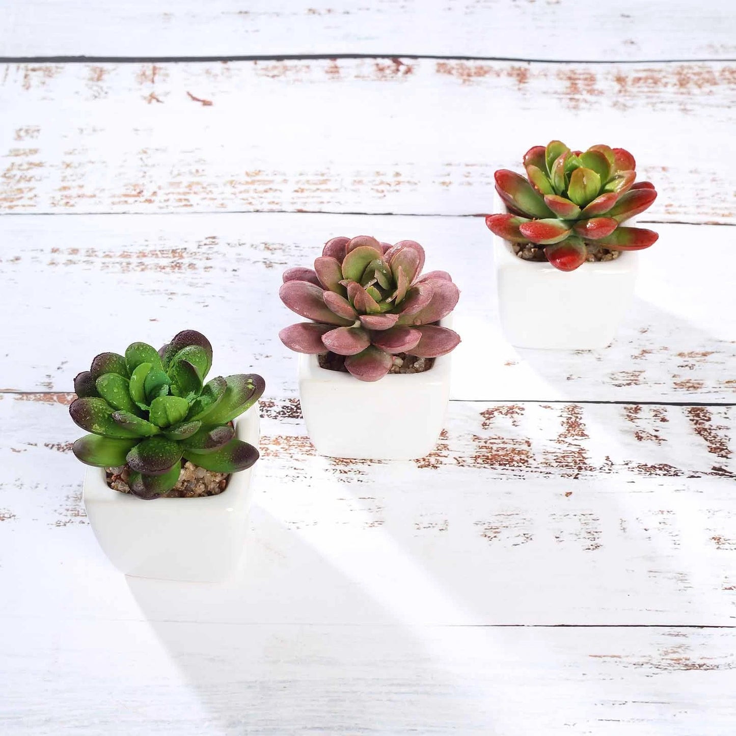 Home Collection Set of 3 Mini Faux Succulent Plants in Off-White Ceramic Pots – 3" Tall