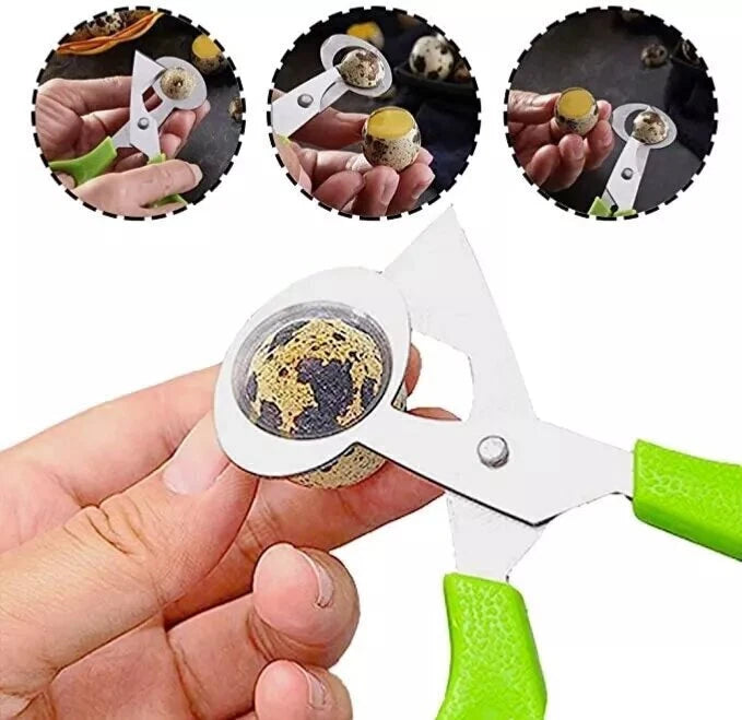 Quail Egg Scissors – Stainless Steel Eggshell Cutter Tool