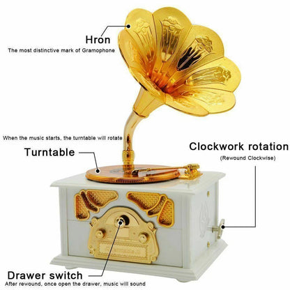 Vintage Gramophone Music Box