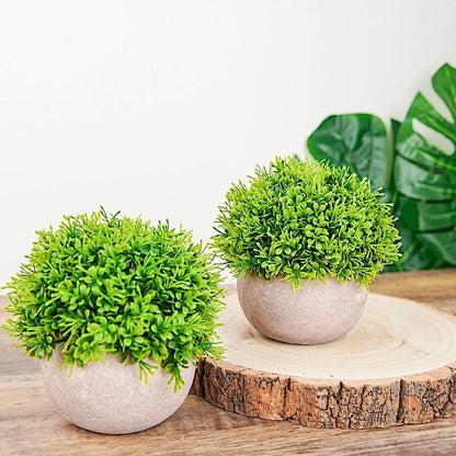 Green Gray Mini Boxwood Topiary 2 Potted Artificial Plants