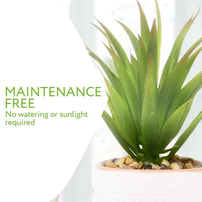 Artificial Succulent Plants in Ceramic Pots with Bamboo Tray
