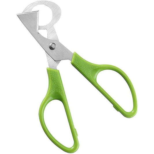 Quail Egg Scissors – Stainless Steel Eggshell Cutter Tool