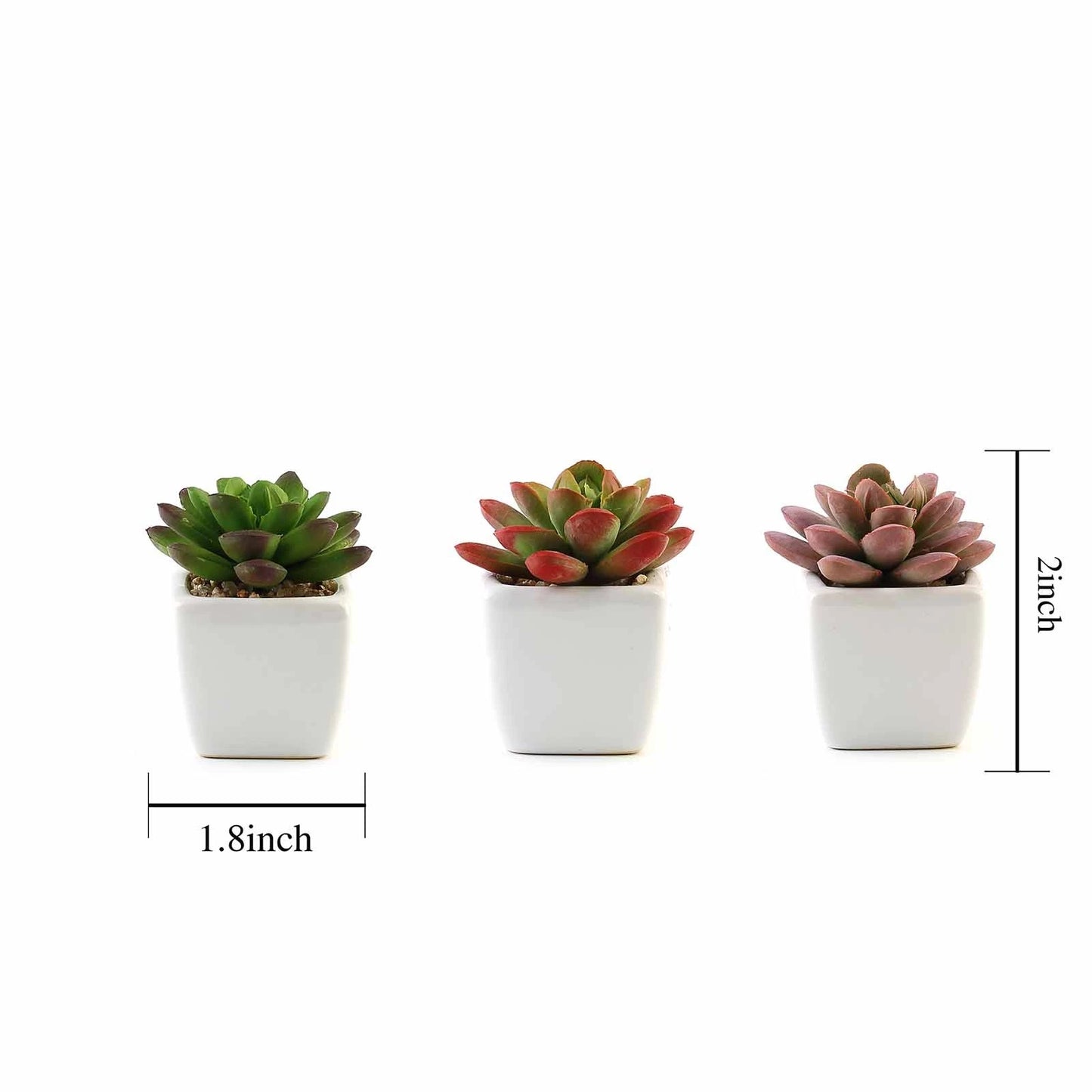 Home Collection Set of 3 Mini Faux Succulent Plants in Off-White Ceramic Pots – 3" Tall