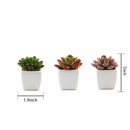 Home Collection Set of 3 Mini Faux Succulent Plants in Off-White Ceramic Pots – 3" Tall
