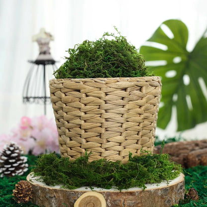 Home Collection 50g Natural Green Reindeer Moss