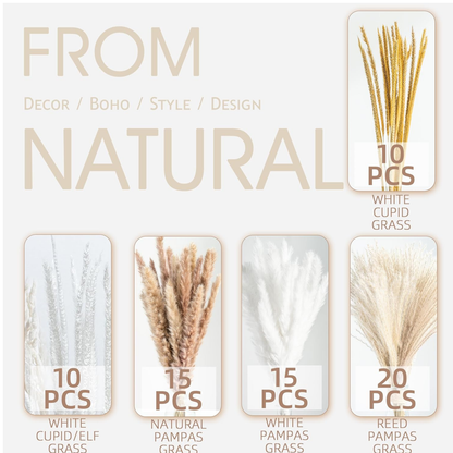 Home Collection 70PCS Natural Dried Pampas Grass Boho Home Decor Bouquet